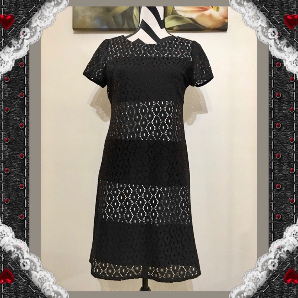 Sandra Darren Color Block Lace Overlay Dress
